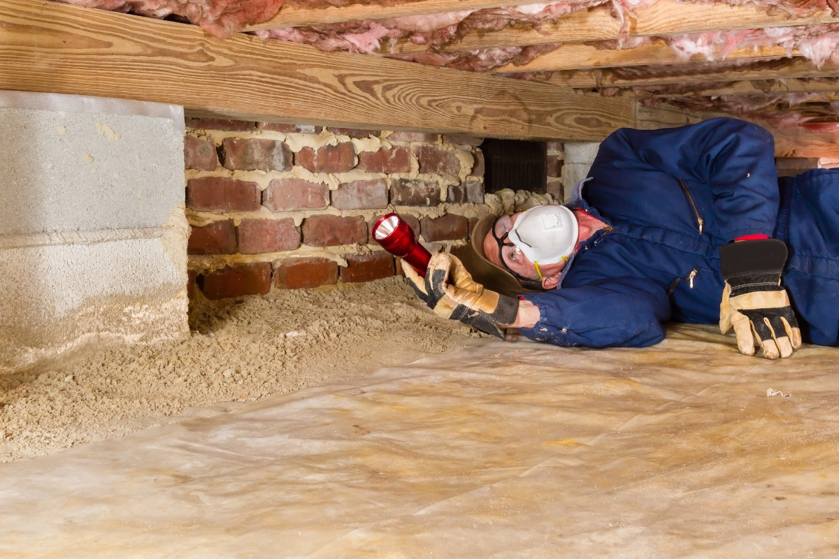 man-checks-the-interior-of-a-crawl-space