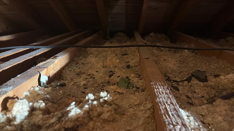 View inside an attic showing wooden beams and insulation material.