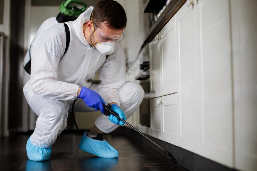 Pest control technician spraying under kitchen cabinets